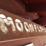 Moonflower Canyon Southern Utah